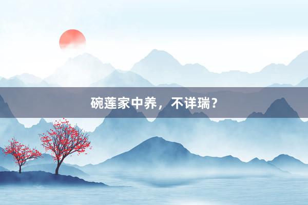 碗莲家中养，不详瑞？