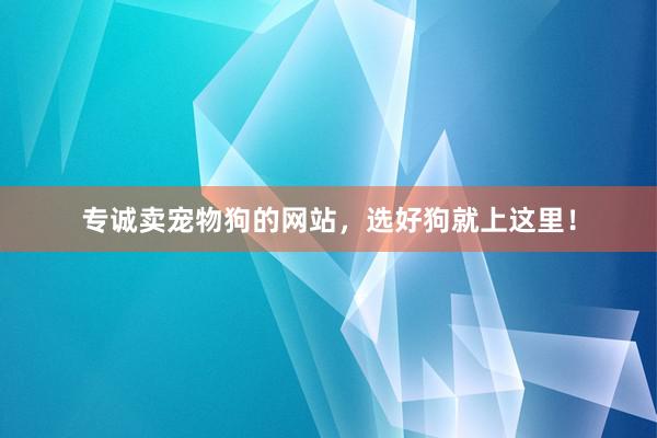 专诚卖宠物狗的网站，选好狗就上这里！